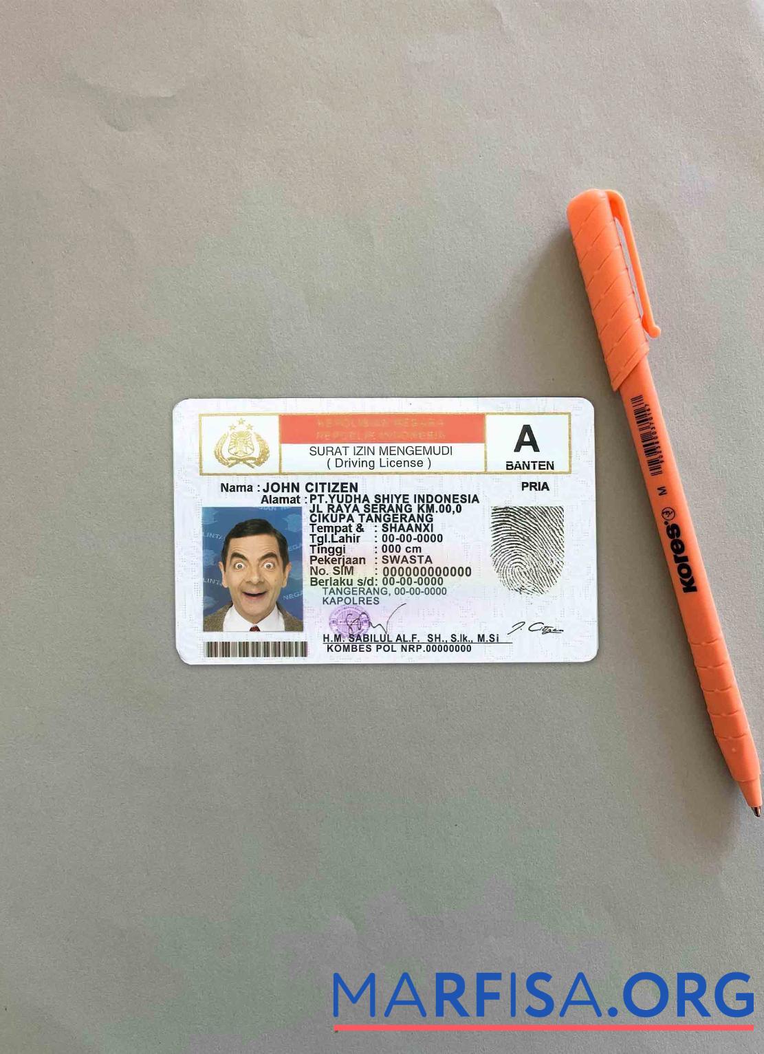 Blank Indonesia DL photolook real example